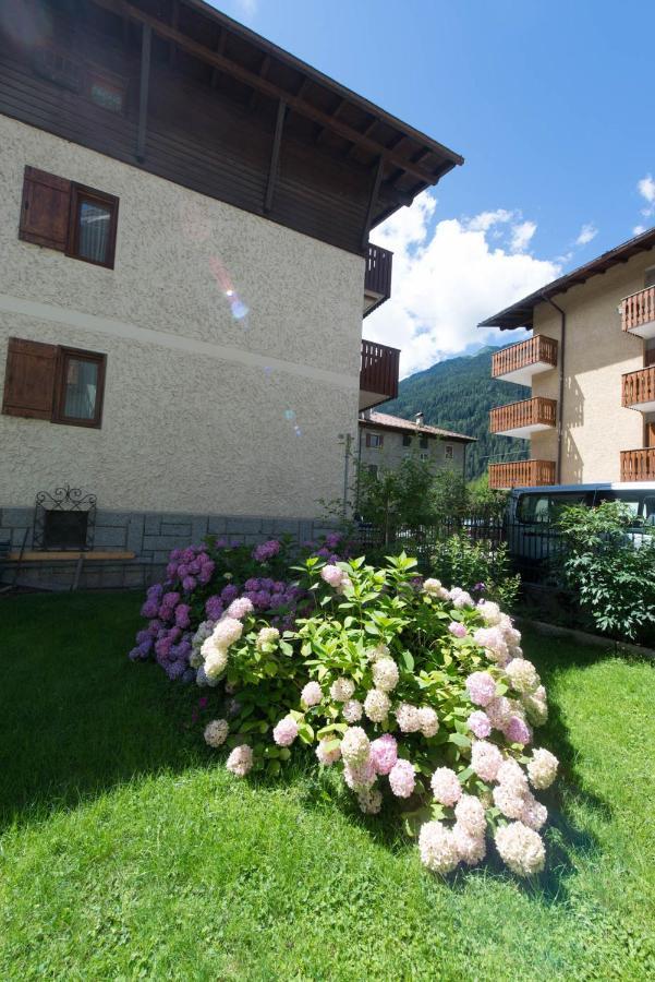 Residence Alpen Casavacanze ปินโซโล ภายนอก รูปภาพ